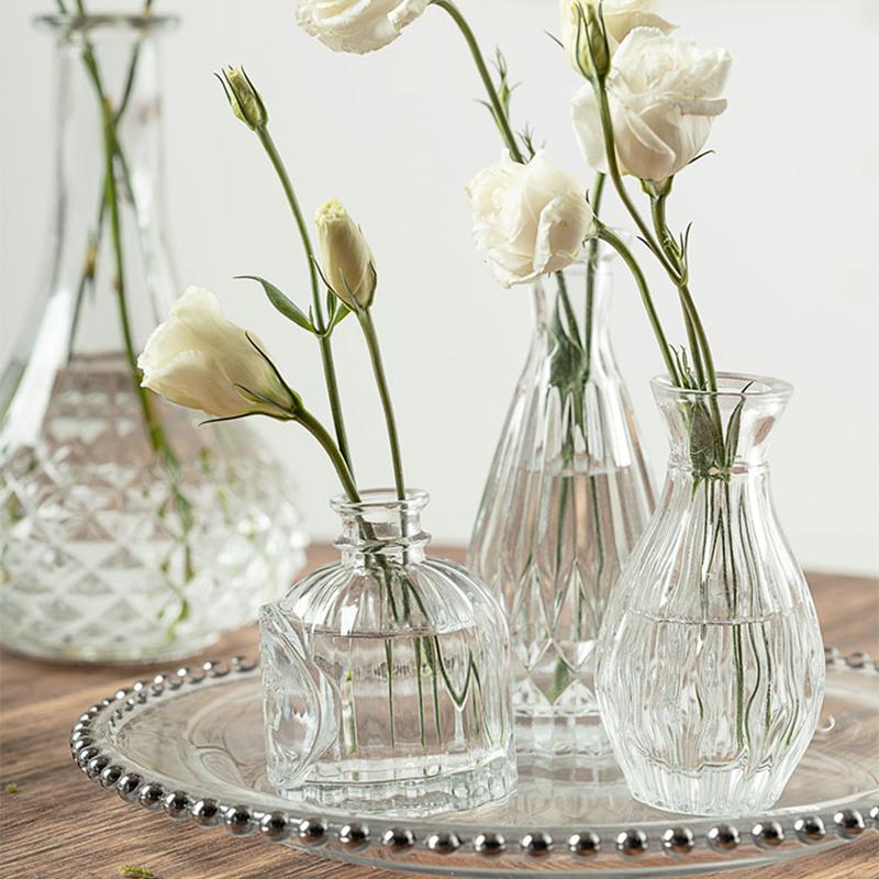INS Mini Glass Vase Transparent Hydroponic Plant Vase Desktop Ornaments Flower Vases for Centerpieces Home Wedding Party Decor