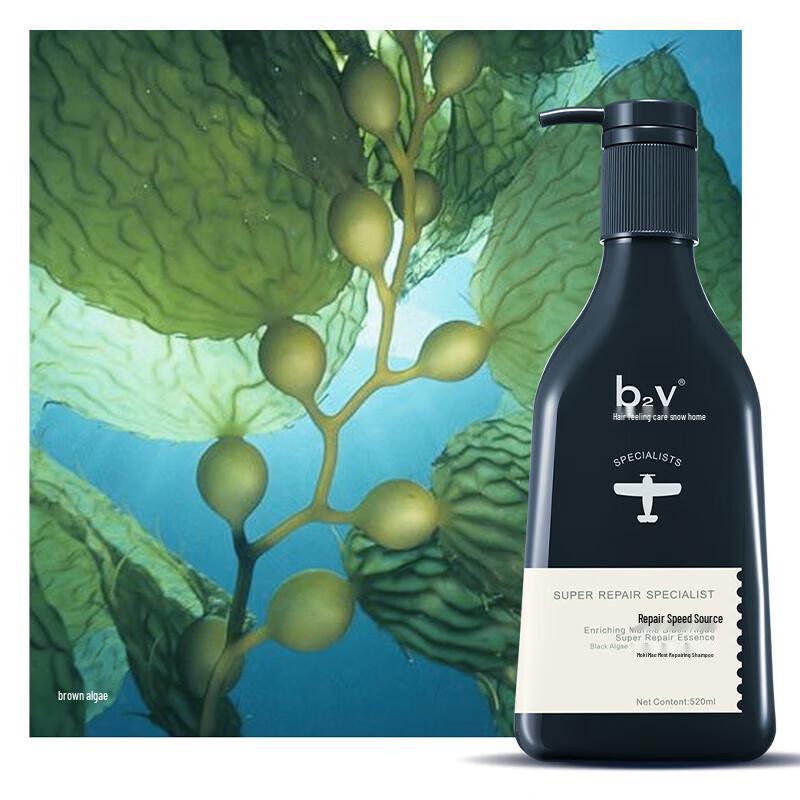 b2v Black Algae Repair Conditioner