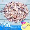 Handmade Decorative Seashells & Starfish for Fish Tanks: Landscaping, Painting, Specimens, Whelks, Hermit Crabs