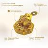 Plus Value Feng Shui Lucky Three Legged Money Frog with Coin In Mouth Toad Good Luck, Wealth, Prosperity, Success, Happiness, Positivity