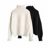 High Quality Winter Turtleneck Pullover Sweater Women Plus Size Knitted Sweaters Jumpers Soft White Black Sweater