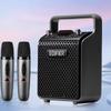 Edifier PP205S Portable Bluetooth KTV Speaker CN Plug (adapter Included)