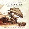 In the Labyrinth of Drakes by Marie Brennan Paperback Book 9781783297764