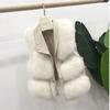 Autumn and Winter Fur Coat Women's Vest Short Clothing Patchwork Slim Versatile
