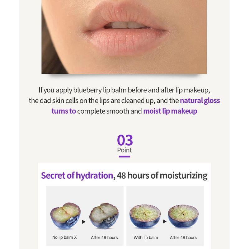 FRUDIA - Blueberry Hydrating Honey Lip Balm Tube