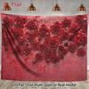2D Romantic Red Rose Wall Wedding & Valentine's Day Photo Background Banner