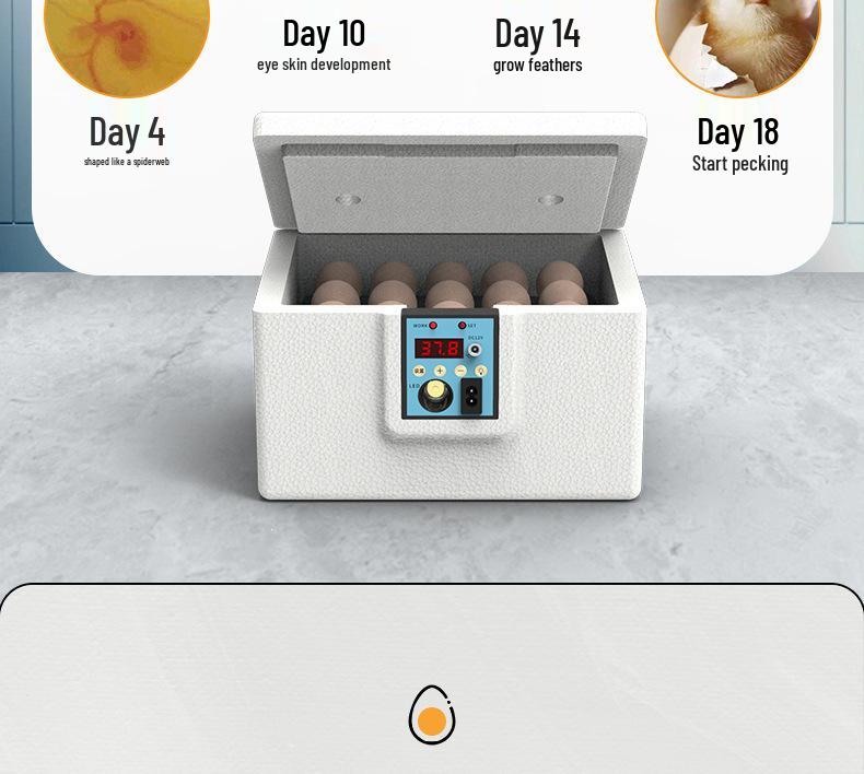 Fully Automatic Small Quail Egg Incubator: Intelligent Hatching Machine for Chicks, Ducks, and Geese