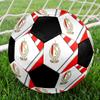 SIZE 5 Standard Liège Soccer Ball Colorful All Ages Machine Stitched PVC Competition Ready Durable High-Bounce
