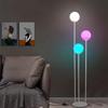 Elegant Nordic Arc Floor Lamp with Remote