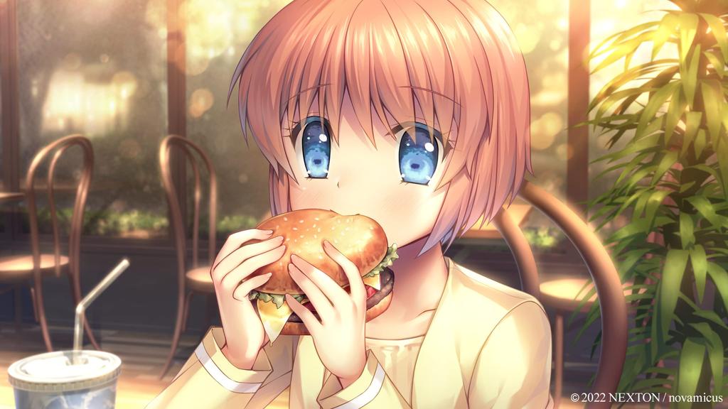 Memorial BOX newly drawn B2 ONE. [with tapestry]