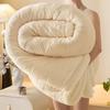 Thickened Double Layer Milk Velvet Lamb Velvet Blanket Office Nap Blanket Student Dormitory Shoulder Wrap Woolen Blanket
