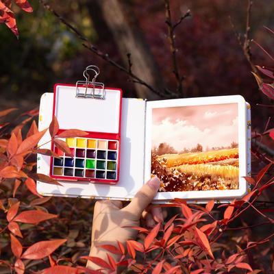 Shiminke 24-Color Watercolor Set for Art Students