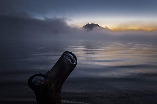 Tree Man: A Collection of Works by Masamitsu Takiguchi