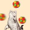 Christmas Cat Toy Balls Sparkly Pompoms with Soundings Particles 4.5cm Crinkle And Jingle Toys for Kittens Interactive Chasing Hunting Plush Balls