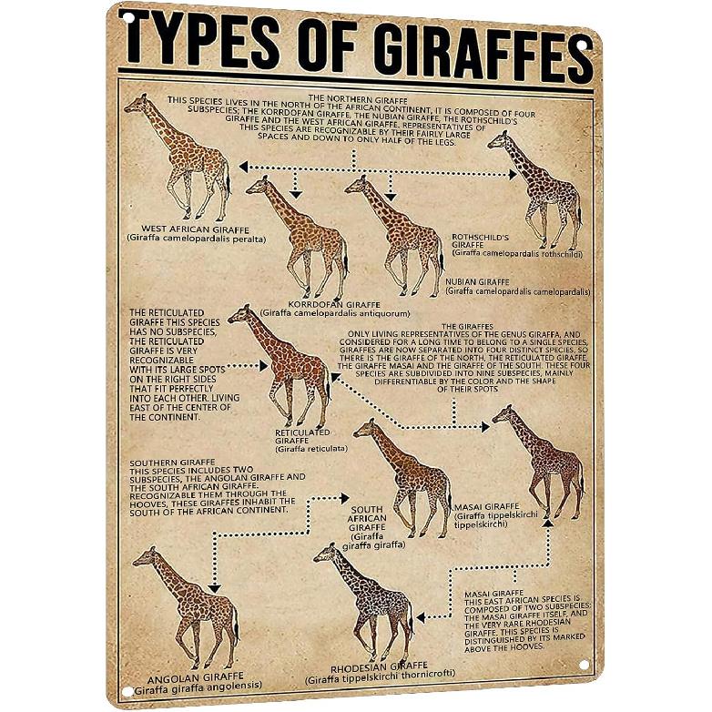 HYBLOM Retro Giraffe Knowledge Metal Sign - Types Of Giraffes Tin Poster - Educational & Fun Farmhouse Wall Art Decor, Gift for Giraffe Lovers 8x12