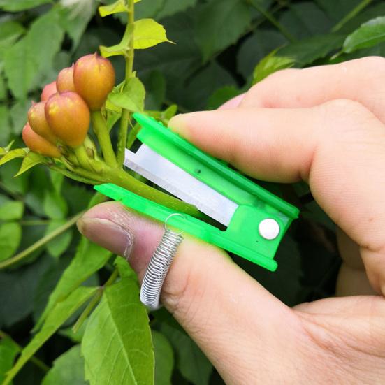 3/5/8/10Pcs Gardening Thumb Knife Fruit Picker Sharp Blade Mini Size Portable Multifunctional Finger Cutter Tool
