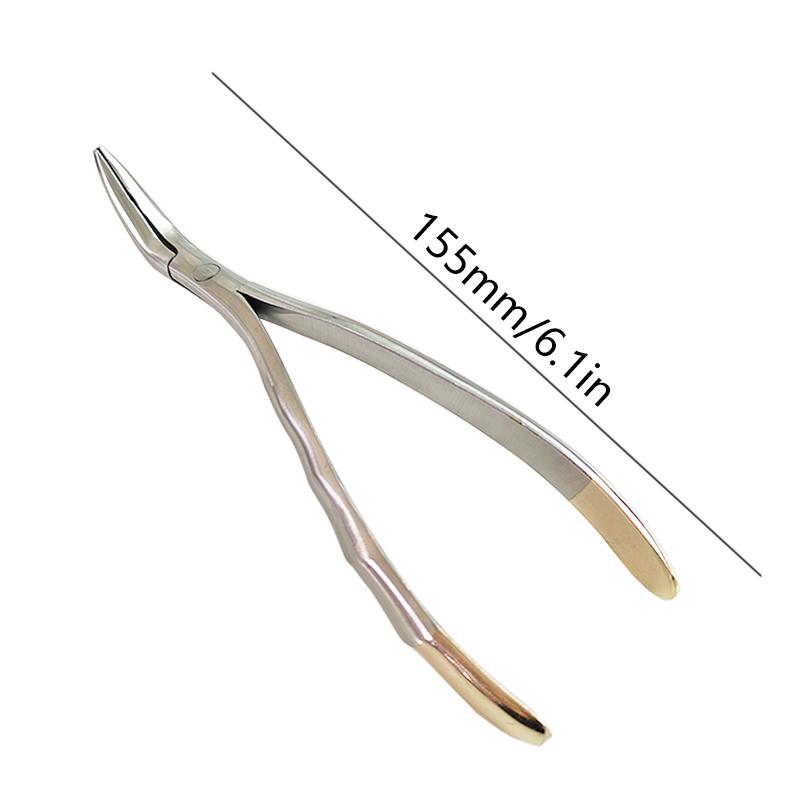 High Quality Dentistry Root Fragment Tooth Extraction Forceps Pliers Instrument Dental Curved Maxillary Mandibular Tools