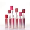 Couture Lip Tint Fitting Blur 4g (13 Colors)