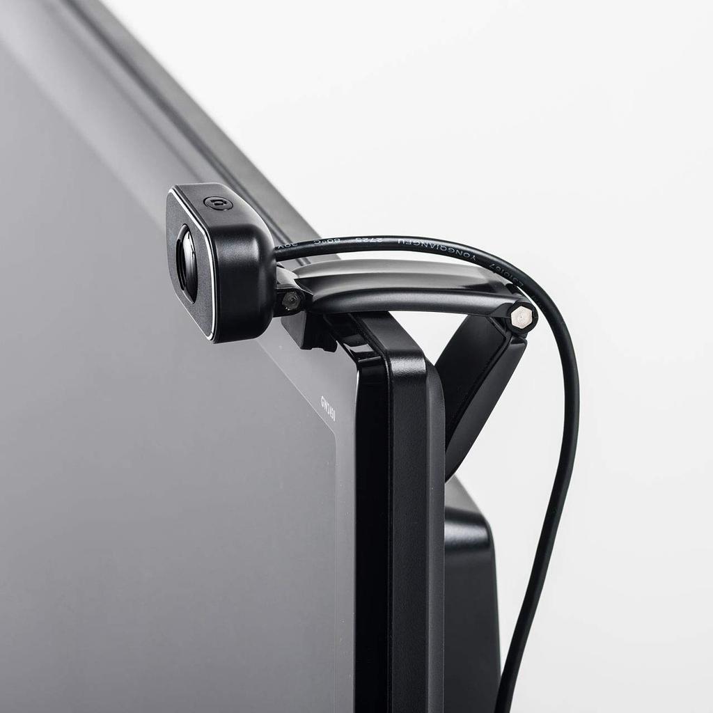 Sanwa Supply 2MP Full HD Webcam with Microphone and Skype Compatible Built-in (CMS-V41BK)