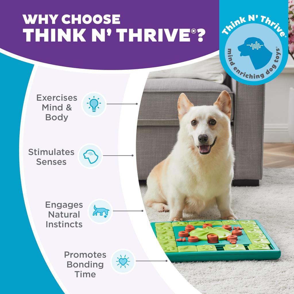 Outward Hound Nina Ottosson Multi PTOT696631 Green Puzzle/Blue