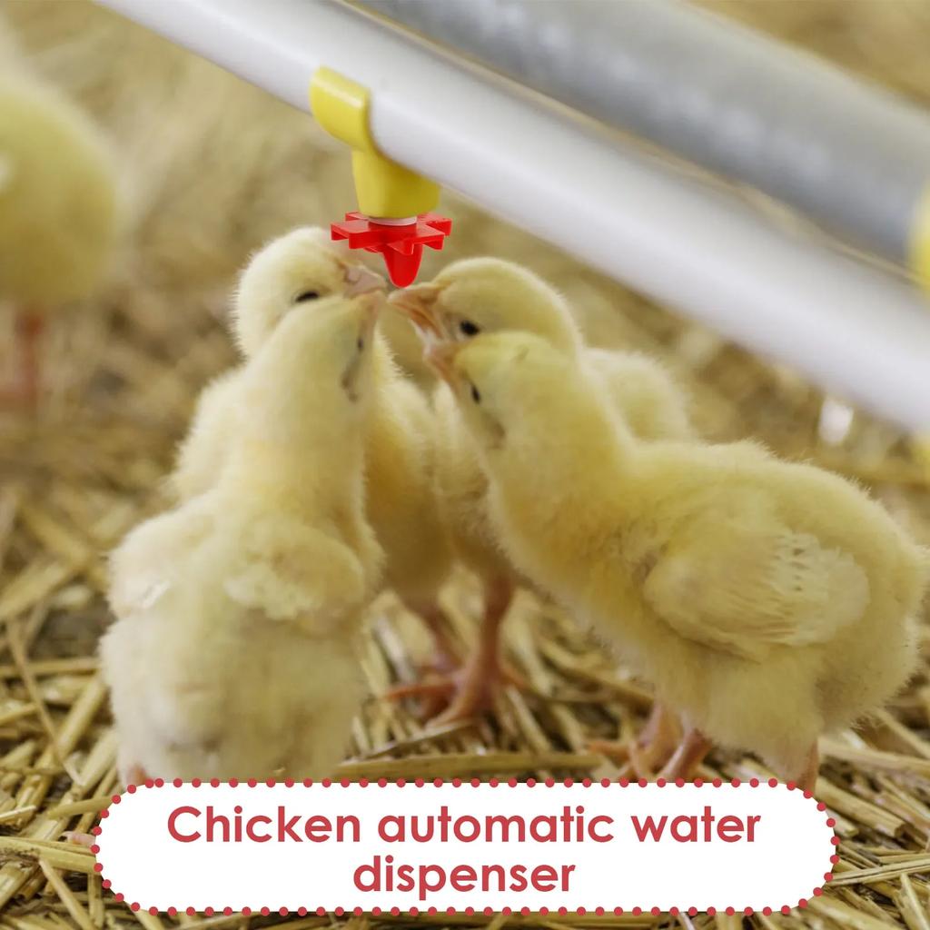 30Pcs Chicken Waterer Nipple Drinkers Poultry Animal Automatic Waters Quail Pigeon Bird Outdoor Farming Tool