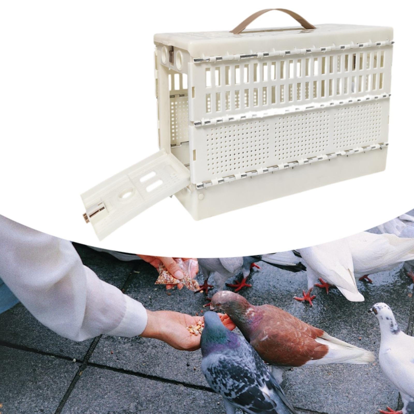 

Переноска для голубей, складная, легко моющаяся, с маленькой дверцей, ручная для транспортировки