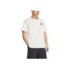 adidas Terrex Polygiene Grafik Rundhals Outdoor-Sport Kurzarm T-Shirt Unisex Oberteile Elfenbein KA3283