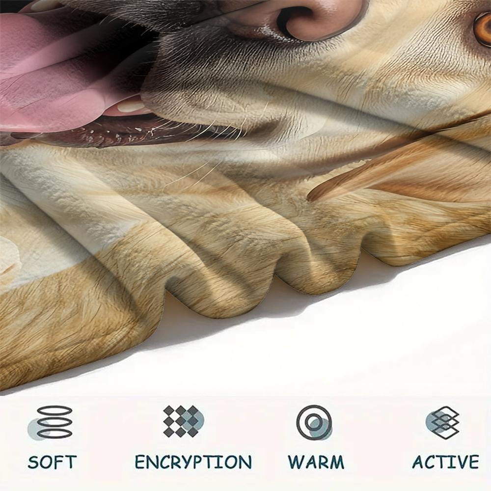 1Pc Labrador Dogs Print Flannel Blanket, High quality Comfortable for All Seasons, Home Decor, Warmth and Comfort, Perfect for Gifts