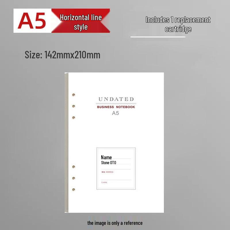 Abnehmbares B5 Hochwertiges Notizbuch-Set mit losen Blättern: Geschenk für Studenten & Geschäftsleute
