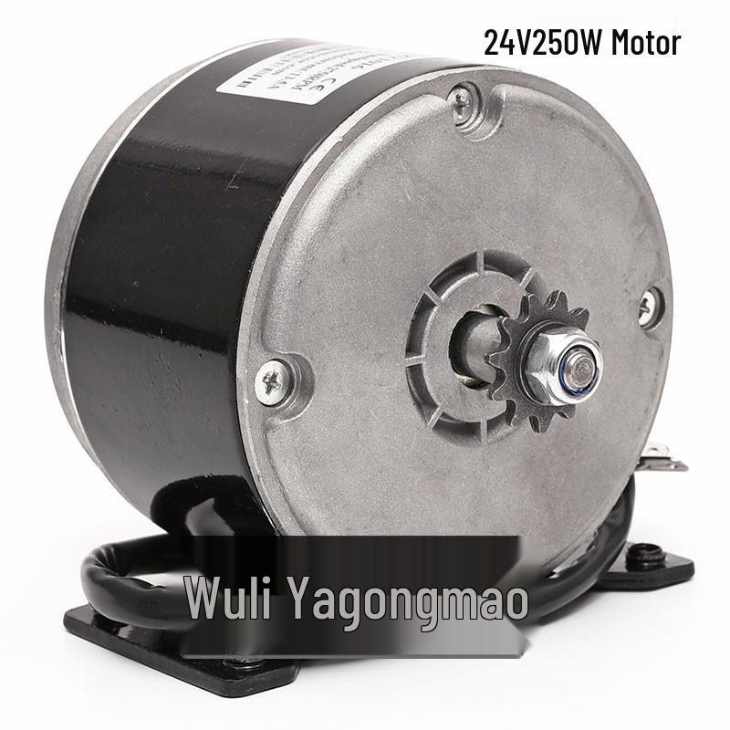 Little Dolphin 24V 250W High-Speed Electric ATV Scooter 24V 250W Motor (T8F Small Gear)