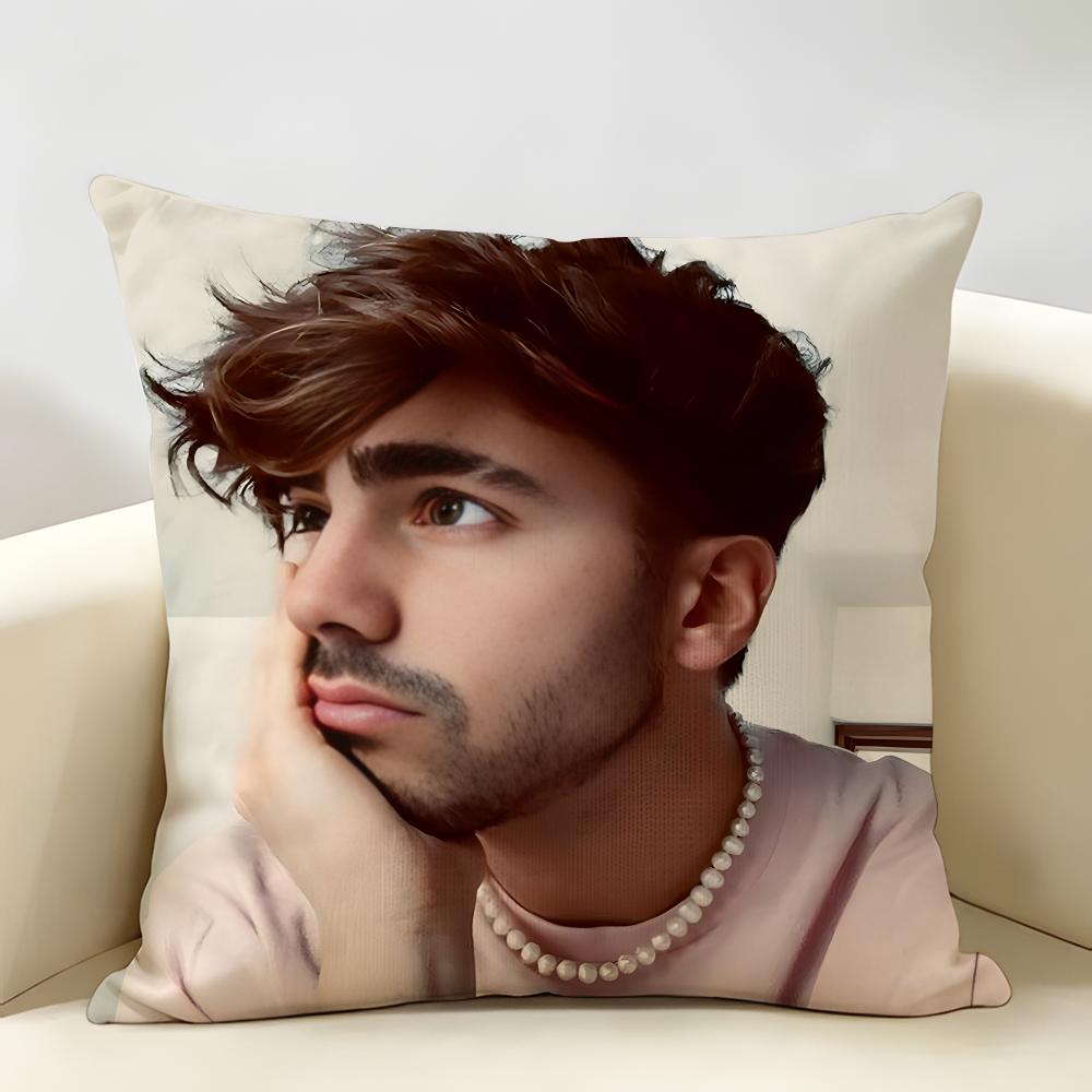 Internet Celebrity Fede VVigevani Cushion Cover Natural Linen Organic Fabric DoubleSided Printing Room Sofa Decor Pillow Case