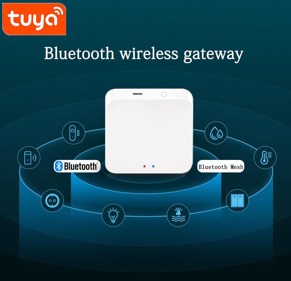 Tuya Graffiti Bluetooth Mesh Gateway: Smart Alexa Voice & App Wireless Remote Control