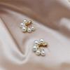 New Fashion C-shaped Large Pearl Earrings  for Women Girl Gift Jewelry Wholesale