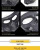 Halloween Skull Cosplay Tactical Mask - Nylon Protective Horror Facegear