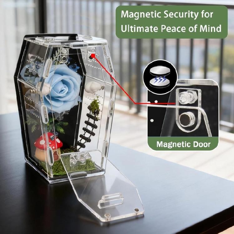 Acrylic Miniature Pet Terrarium For Jumping Spiders Hermits Mantis Practical Jumping Spiders Enclosure