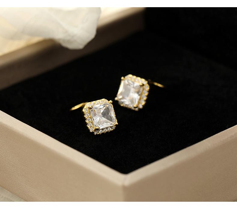 Banyan Tree S925 Silver Luxury Zircon Square Earrings - Simple, Fashion-forward Design for Women
