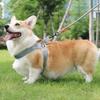 Puppy Chest Harness Saddle Pet Chest Harness Breathable Reflective Dog Leash Set Small & Medium Dog Traveling Products