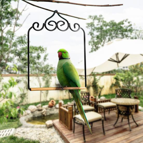 Hummingbird Swing And Perch Rustic Metal Frame Birds Swing with Wood Perch Hanging Parrot Perch for Outdoor Garden Patio Balcony