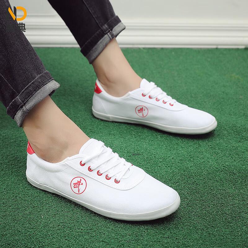 Naidian Unisex Canvas Martial Arts & Tai Chi Shoes