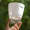Flowerpot with Open Water Pour Port Easy Maintenance Self-Absorbing Double-Layer Water System Thickened Transparent Water Storage