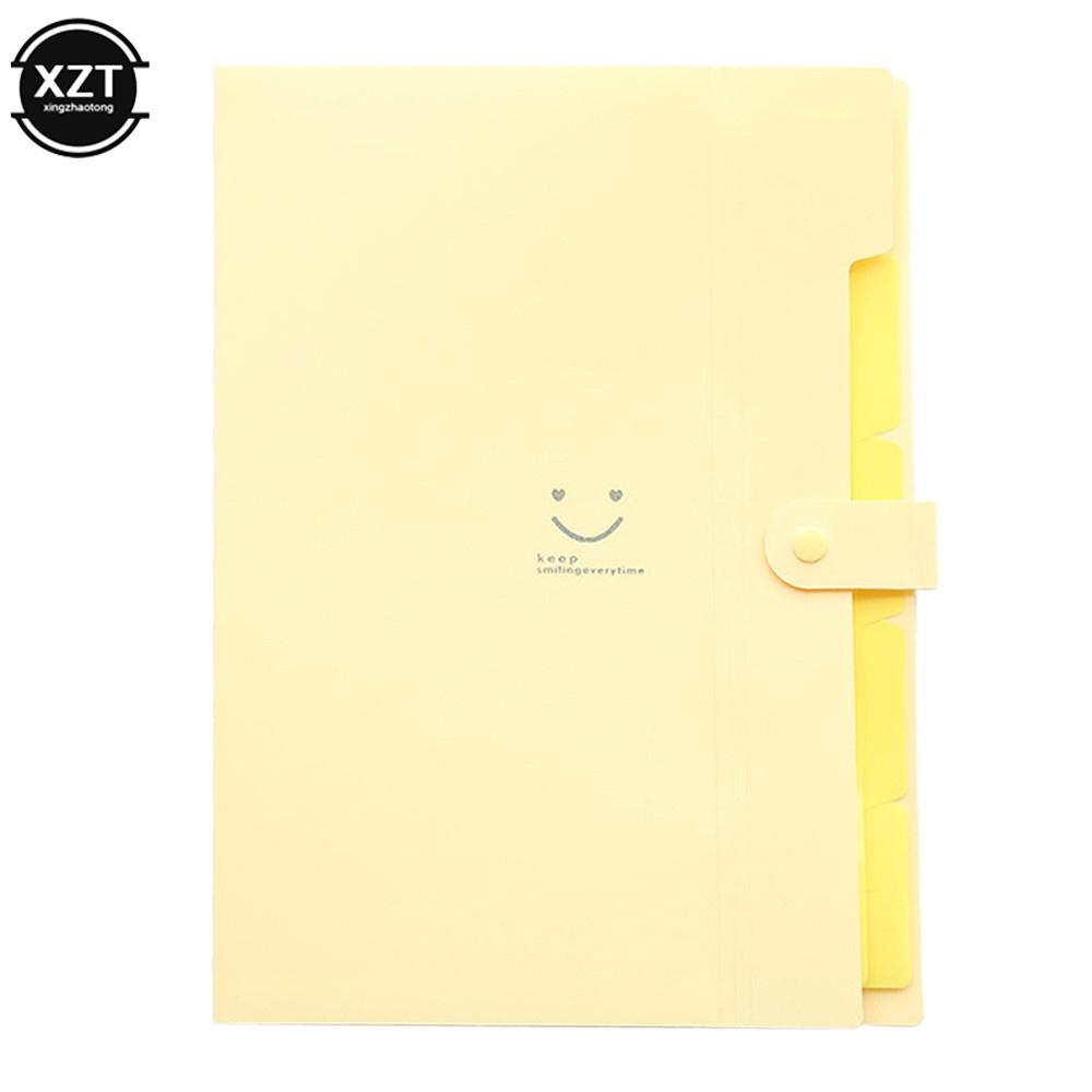 Cartellina A4 5 Scomparti Colore Macaron Portadocumenti Grande Capacità Organizzatore Documenti Studente Scuola e Forniture per Ufficio Cancelleria