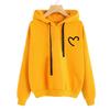 2025 autumn and winter European and American clothing fleece hooded women's sweater