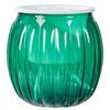 Clear Self Watering Planters Pots Modern Transparent Plants Care Pots for Garden Enthusiast Lover Gift