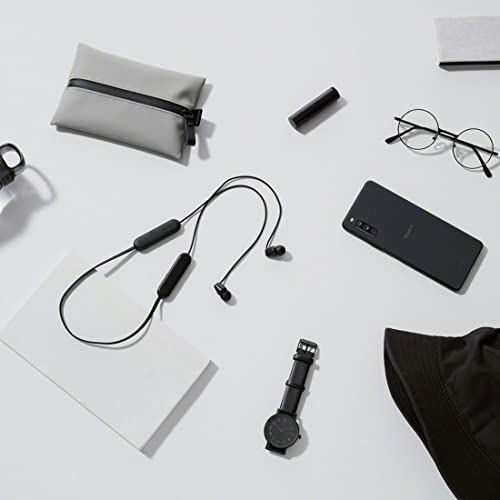 Sony WI-C100 Wireless Earbuds, Bluetooth Compatible, 25-Hour Battery Life, IPX4 Water Resistant, DSEE Compatible, Black, WI-C100 BZ, Small