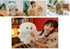 Cute Plush Poodle Dog Doll For Girls Birthday Gift Stuffed Toy Teddy Puppy
