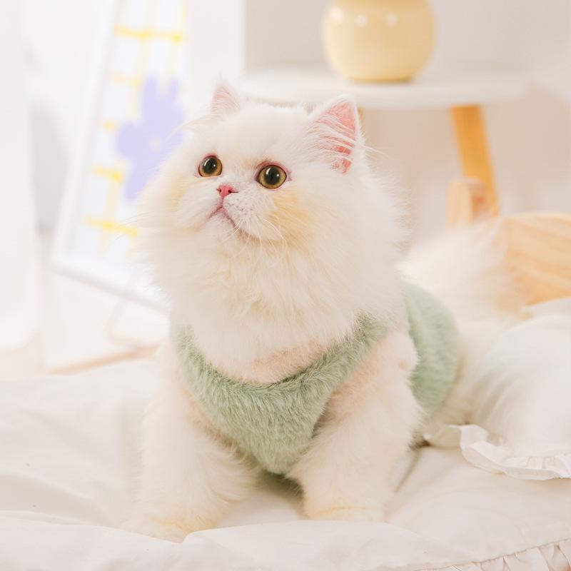Cat clothes Autumn and winter imitation mink patch two-legged fleece coat dog small puppy kitten winter pet clothing