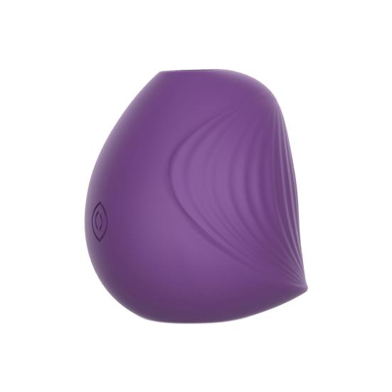 Sucking Vibration Massager Life Waterproof Smooth Silicone Clit Stimulator Masturbation Sucker for Vagina