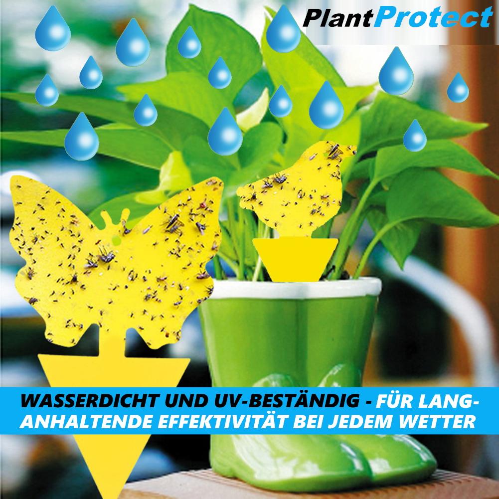 PLANTPROTECT Gelbsticker Gelbtafeln Trauermücken Insektenfalle Fruchtliegenfalle