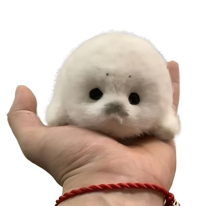 Weicher Grauer Robben Plüsch Schlüsselanhänger Weiße Robben Plüschtiere Anhänger Tier Mode Stoffpuppe Schlüsselring Autoschlüssel Zubehör Auto Schmuck