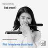 Sanban Mint Fresh Toothpaste